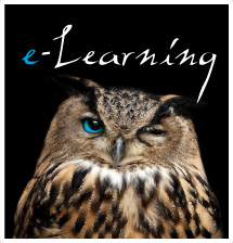 EINS e-Learning