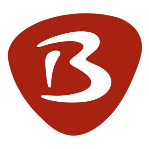Bibelkurs Logo