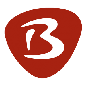 Basics-Bibelkurs Logo